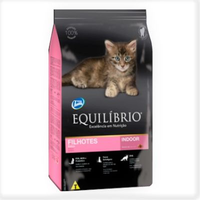Equilibrio Gato Filhotes Indoor Equilibrio Gato Filhotes Indoor