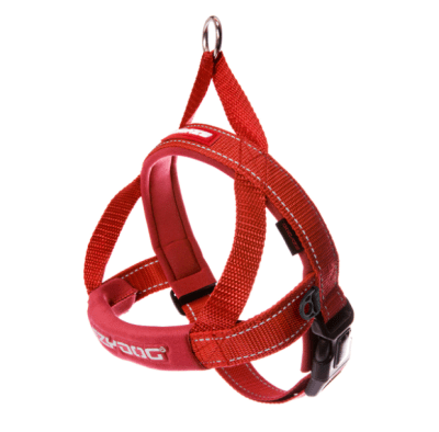 Arnes Quickfit Para Perro Ezydog