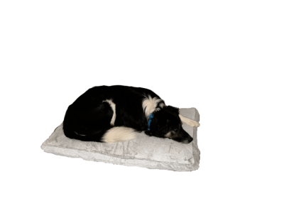 BRNX Colchón Anti-estrés Lavable Large 94x63x7,5 cm