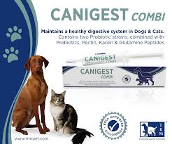 Canigest Combi Pasta 16 ml