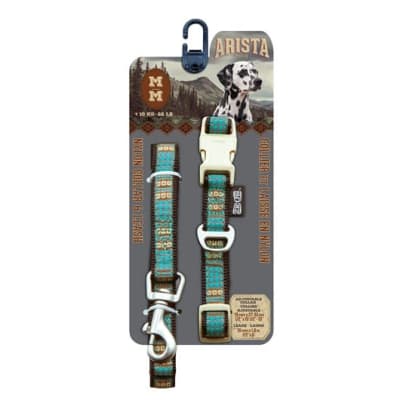 Zeus Arista set collar y correa para Perro Indie