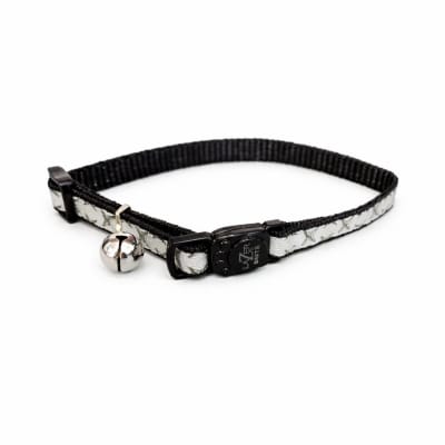 Coastal Lazer Brite Collar Diamond Gato
