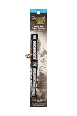 Coastal Lazer Brite Collar Diamond Gato