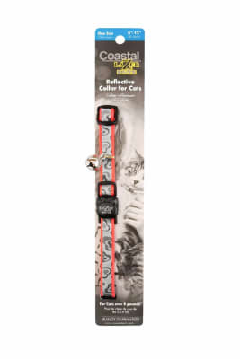 Coastal Lazer Brite Collar Hearts Gato