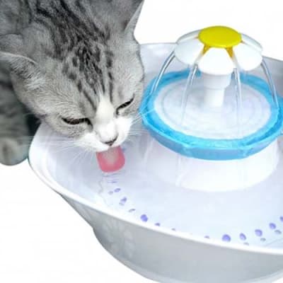 Fuente Flor De Agua Para Gato 2,3 Lts