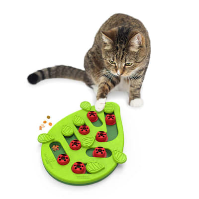 Nina Ottosson Puzzle Buggin´ Out N2 juguete interactivo