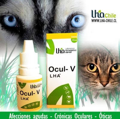 Ocul-v 