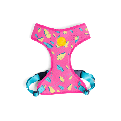 Arnes Tipo Pechera Para Perros Flow Olivia Medium