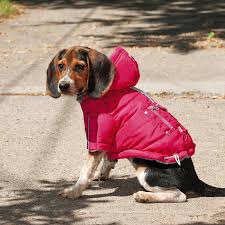 Parka Con Luz Led Silver Paw Fucsia Medium