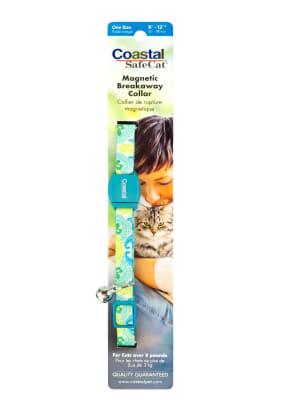Coastal Magnetic Collar Teal Peacock Gato