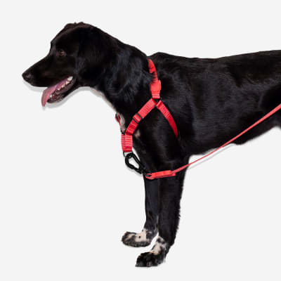 Zee.Dog Solids Neon Coral Soft-walk Harness