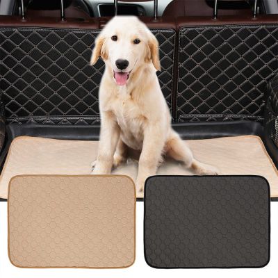 Sabanillas Lavables Para Entrenamiento Pat Pee Pad 45 x 40 cm