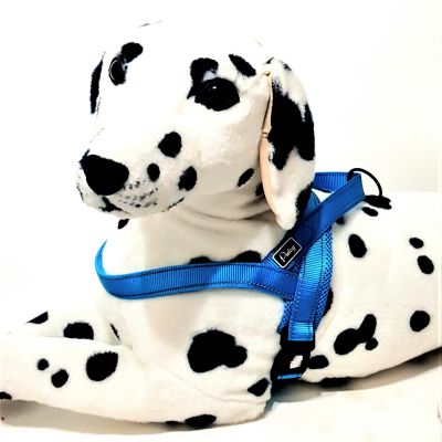 Arnes Pidog Celeste Talla L