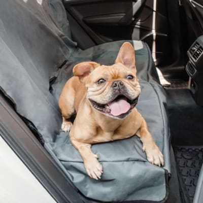 GF Pet CubreAsiento funda para auto Gris