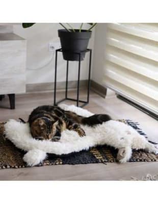 Cama Llama  BRNX (67 x 72 x 6 cm)