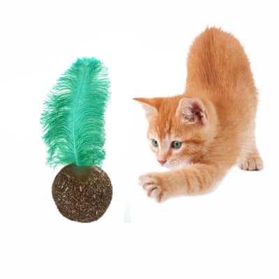 Juguete bola con plumas WONDER CAT (3.2cm)  Juguete bola con plumas WONDER CAT (3.2cm)