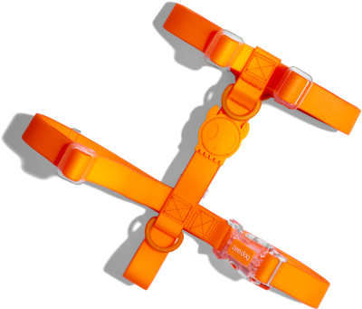 NEOPRO TANGERINE H-HARNESS 