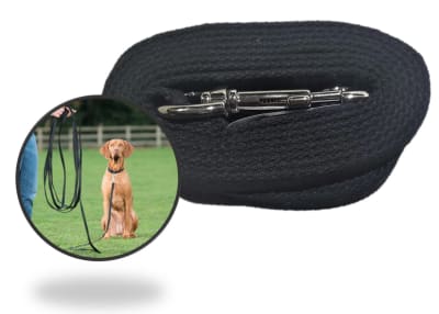 Aspenpet Correa De Entrenamiento Para Perro