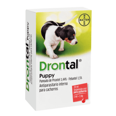 Drontal Puppy