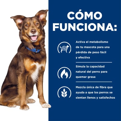 Hills Canino Metabolic