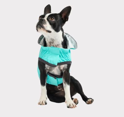 GF Pet Impermeable Reversible Para Perro Neon Aqua