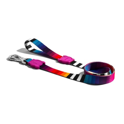 Leash Prisma Correa para Perro Zee.dog