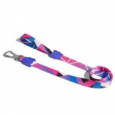 Midnight Leash correa para perro