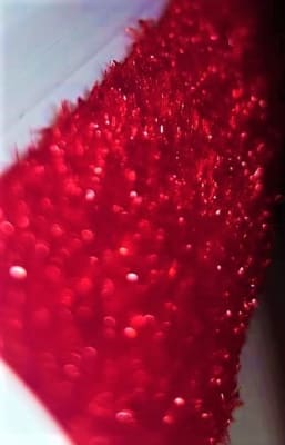 Saca Pelos ZeroPelo Reutilizable