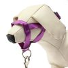 Dog Head Collar-Bozal Antitirones1