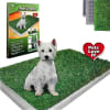 Baño Para Perro Mediano Potty Patch1