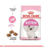 Royal Canin Felino Kitten Alimento para Gatos Cachorros1