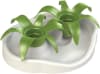 Comedero Interactivo Para Gatos Planta Thin Kat1
