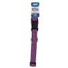 Petmate Collar Mix&Match Dots Pink Para Perro XS1