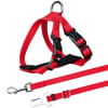 Arnes de Gato Para Auto Trixie, (20 a 50 cm, 15 mm Rojo)1