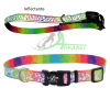Coastal Lazer Brite Hearts Collar Para Perro S/M1