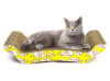 Rascador para gato estilo cama, con diseños1