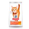 Hills Felino Adult Hair ball Control Light 3,1 kg2