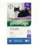 Advantage Gato 4 a 8 kg1