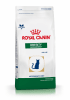 Royal Canin Felino Obesity1