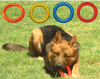 Juguete Para Perros Aro de Caucho Warrior de 15 cm1