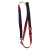 Correa Gigwi Rojo y azul 1