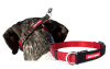 Checkmate Collar De Entrenamiento Para Perro L Rojo half check6