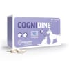 Cognidine 60 Comprimidos1