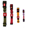 Collar Classic Line Gigwi1