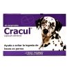 Cracul1