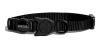 Zee.Cat Gotham Collar Gato1