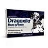 Dragoxilo 660 mg Raza Grande1