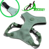 Zee.Dog Solids Army Green adjustable Air Mesh Harness1