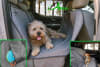 Protector de Asiento Automóvil Dirtbag Ruffwear1