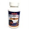 Hepatocan Forte 60 comp1